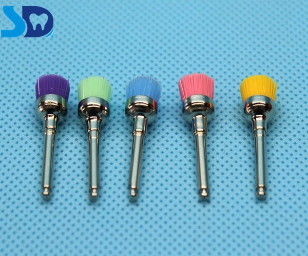 Supply High Quality Nylon Prophy Brushes For Dental