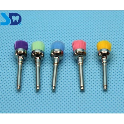 Supply High Quality Nylon Prophy Brushes For Dental